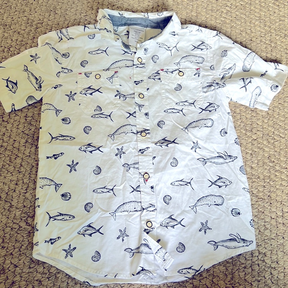 Boys Button Down shirt